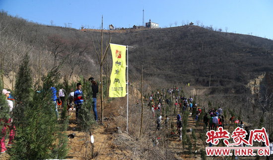 植樹現(xiàn)場如火如荼 植樹現(xiàn)場如火如荼