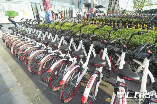 昨日下午，在開福區(qū)萬(wàn)達(dá)廣場(chǎng)，成片的共享單車停放在廣場(chǎng)前坪。 長(zhǎng)沙晚報(bào)記者 黃啟晴 攝