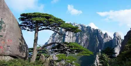 門票那么貴 沒法玩耍了！