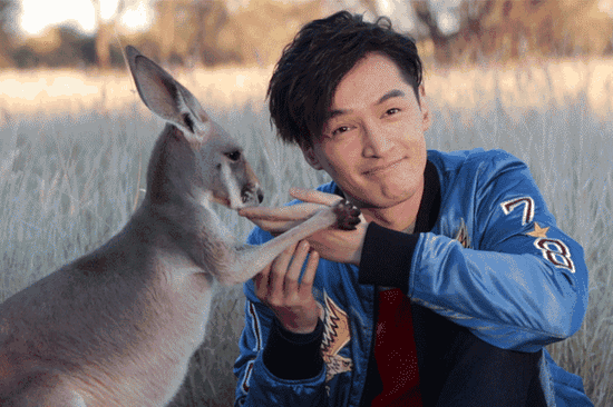 小袋鼠還有親到胡歌喲！