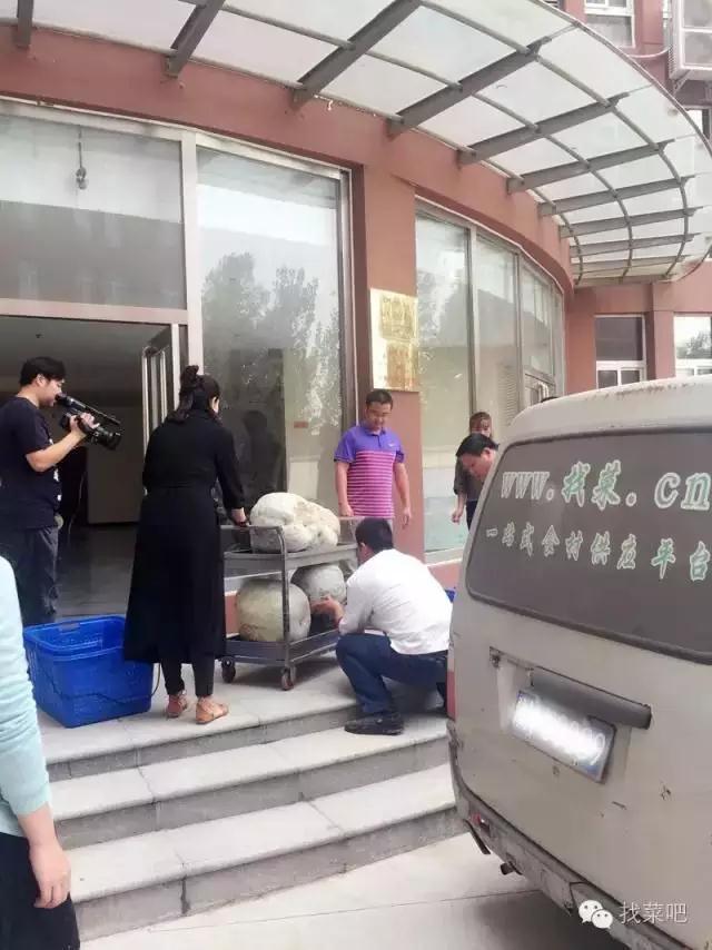 找菜網(wǎng)認購百萬斤冬瓜，解農(nóng)戶燃眉之急