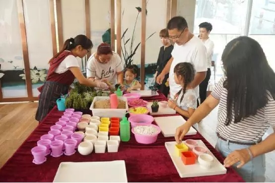 多肉植物手工DIY——到場(chǎng)參與活動(dòng)的嘉賓親手為家人制作愛的信物