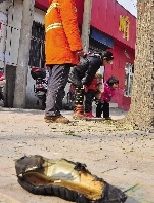 老漢右腿燒傷，樹下扔了一只燒焦的鞋