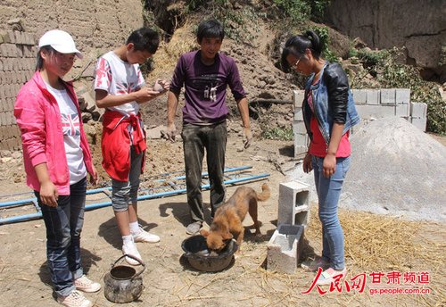 渴壞了的小黃狗在喝水。王生元/攝