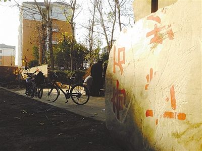 昨日，“上海奇石盆景博物館”原址上，已矗立起小區(qū)樓盤，而刻著博物館名的巨石，廢棄在一旁。本版圖片/新京報記者 張永生 攝