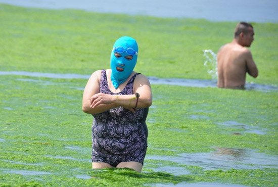 2013年7月3日，山東青島青島高溫來襲，“青島大媽”不懼滸苔，戴著“強(qiáng)盜面具”出現(xiàn)在海水浴場消暑降