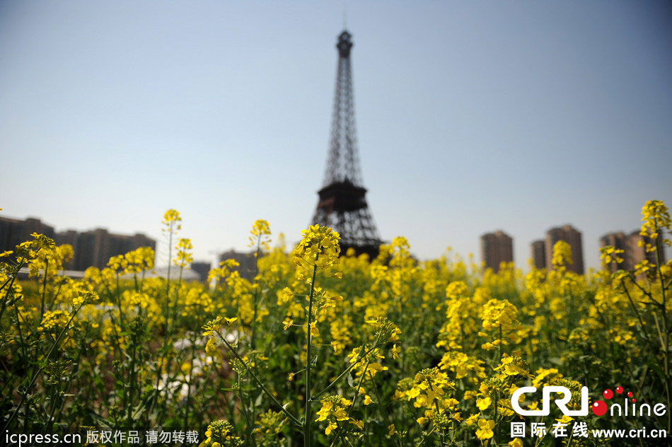　2014年3月21日，杭州天都城，農(nóng)民在山寨埃菲爾鐵塔下耕作。圖片來源：東方IC