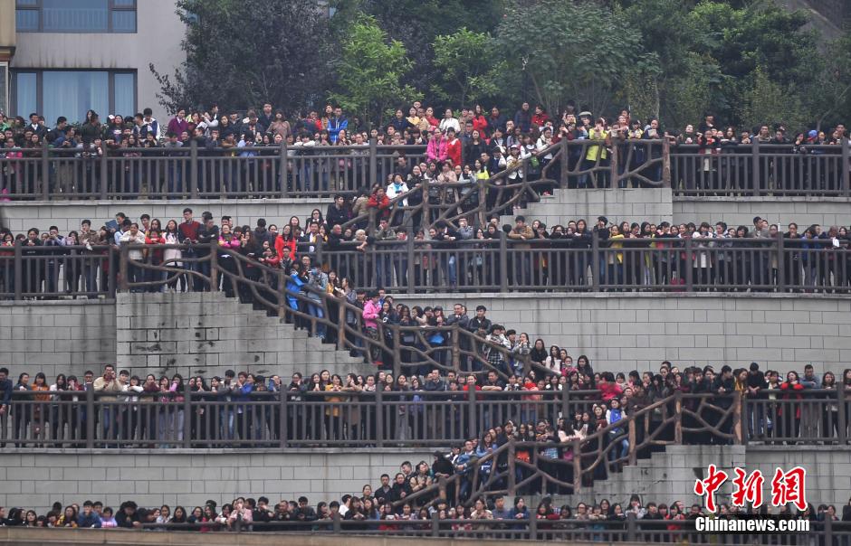 重慶上萬粉絲在南濱路等待《奔跑吧兄弟》節(jié)目的錄制。