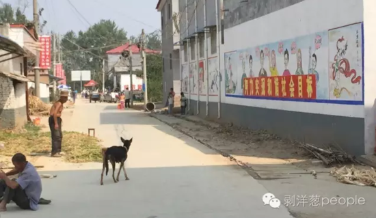 孫莊村一角。新京報(bào)記者安鐘汝 攝