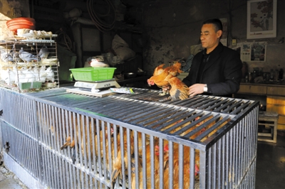 南京另一家農(nóng)貿(mào)市場內(nèi)待售的活雞。因南京出現(xiàn)H7N9禽流病例，買活雞的顧客減少。