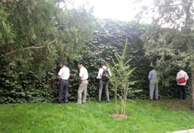 6月30日，頤和園內(nèi)綠地上，多名游客在小解。 網(wǎng)友“攝影老鬼” 攝