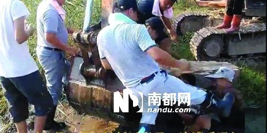 幾名戴黑帽的男子將一名老人推入水塘，后反復(fù)腳踹。