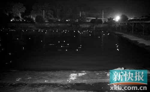 昨日，西湖村鱷魚養(yǎng)殖場已修復(fù)圍欄。