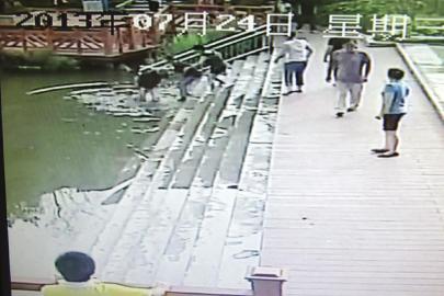 救人現(xiàn)場(chǎng)的視頻截圖。（監(jiān)控截圖）