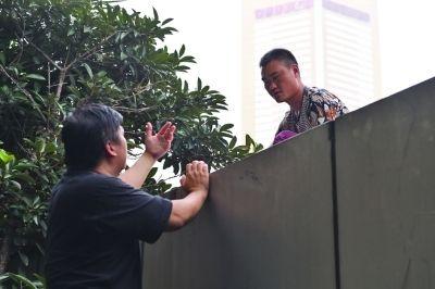 黃主任站在獨(dú)木樁上與男子交談了近半小時。