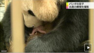 視頻截圖 視頻截圖