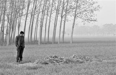 11月21日，高松中站在腦癱雙胞胎兒子墳前。