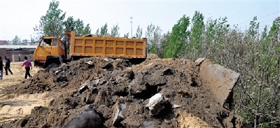 垃圾將生態(tài)涵養(yǎng)林給埋住了。