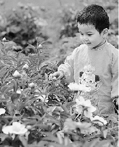 　春光里,鄭州處處皆美景。