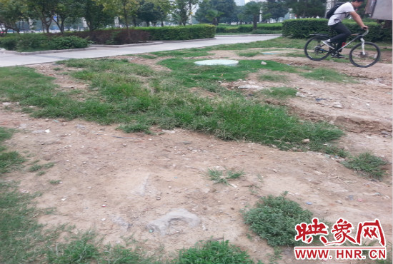 公園內(nèi)大片草坪遭到破壞。