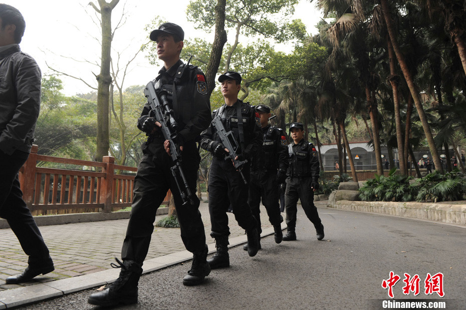 重慶動(dòng)物園兩頭獅子“越獄” 已被麻醉移至籠舍 重慶動(dòng)物園兩頭獅子“越獄” 已被麻醉移至籠舍