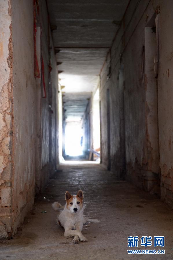 農(nóng)場(chǎng)棚戶區(qū)的最后留守家庭：留下的是回憶，迎來的是幸福