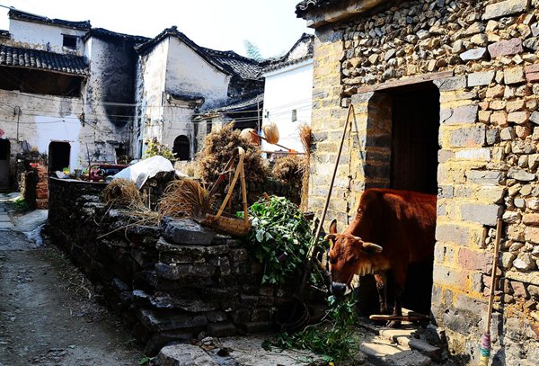 10大古村落，見證鶴壁舊時光