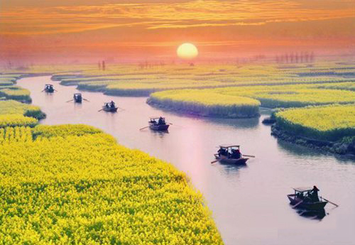 如何拍攝油菜花？達(dá)人教你7個(gè)拍攝技巧