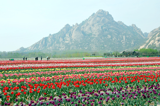 湖光山色這里都有 愛(ài)上“鄰家姑娘”嵖岈山 湖光山色這里都有 愛(ài)上“鄰家姑娘”嵖岈山
