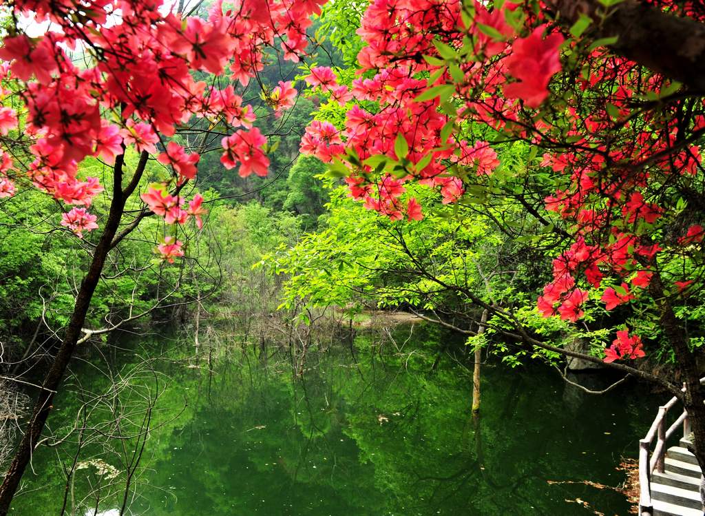 母親節(jié)河南景區(qū)優(yōu)惠大波來襲！