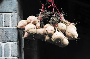 湘西黔陽(yáng)古城 濃縮兩千年光和影 湘西黔陽(yáng)古城 濃縮兩千年光和影