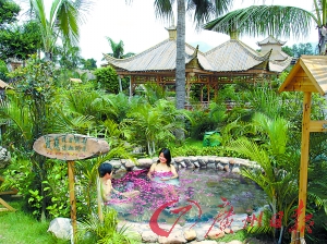 溫泉區(qū)樹木蔥蔥。