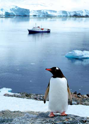 南極 深寒極限中的極限探險(xiǎn) 南極 深寒極限中的極限探險(xiǎn)