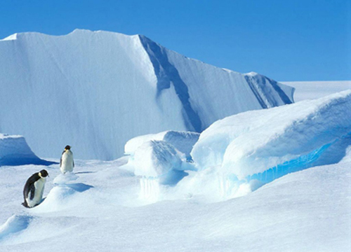 南極 深寒極限中的極限探險(xiǎn) 南極 深寒極限中的極限探險(xiǎn)