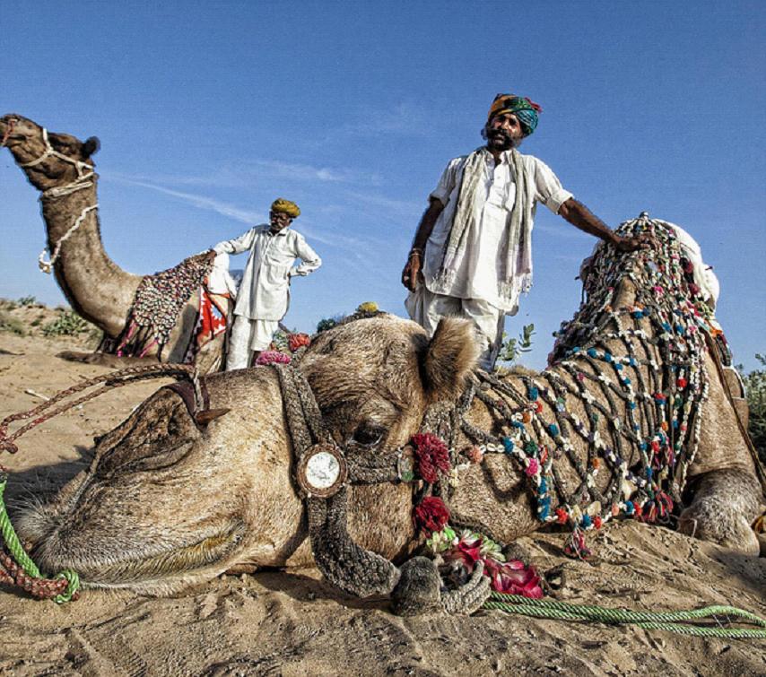 全家出國(guó)游去哪里？推薦十佳旅游勝地