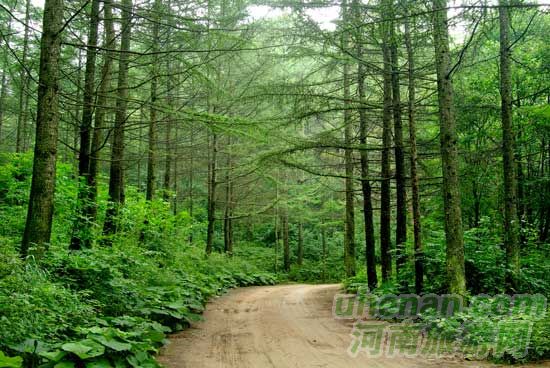 洛陽欒川龍峪灣景區(qū) 洛陽欒川龍峪灣景區(qū)