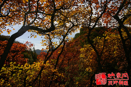 2013第七屆中國·邢臺(tái)九龍峽金秋紅葉節(jié)