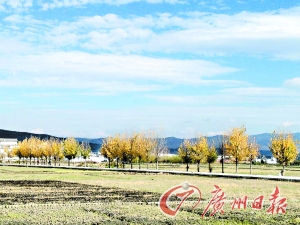 　　大理洱海湖畔美麗的鄉(xiāng)村景色。