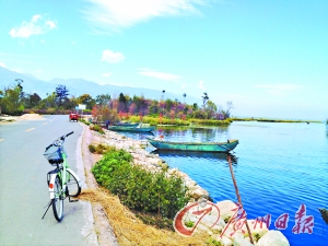 洱海的藍讓人沉醉。