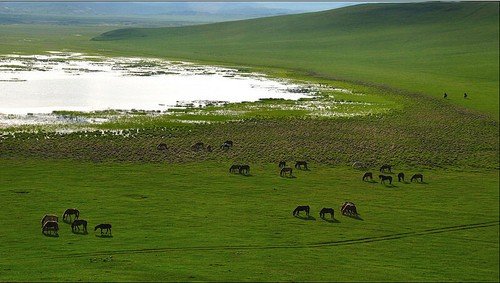 10處賞春采風地 拍出2013年的明媚春光 10處賞春采風地 拍出2013年的明媚春光