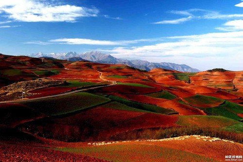 10處賞春采風地 拍出2013年的明媚春光 10處賞春采風地 拍出2013年的明媚春光