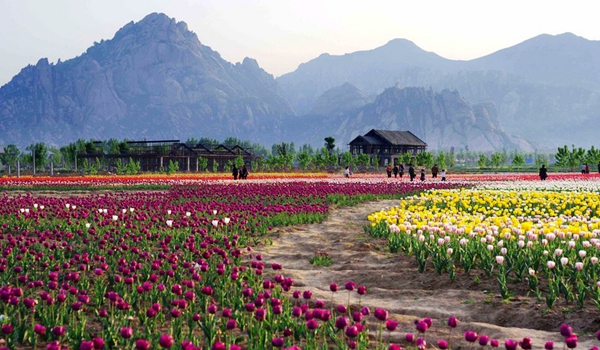 別樣蜜月，河南最適宜新婚度假的景區(qū)