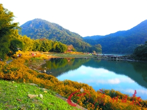 初冬的石門森林公園色彩絢爛。