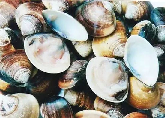 秋季最適合吃的海鮮是這10種 你吃對了嗎？