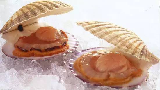 秋季最適合吃的海鮮是這10種 你吃對了嗎？