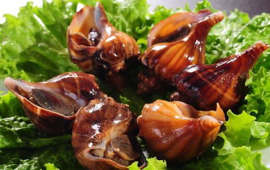 秋季最適合吃的海鮮是這10種 你吃對了嗎？