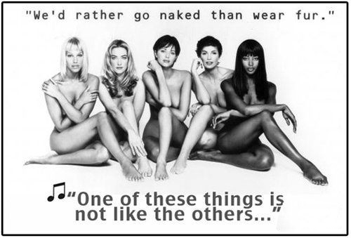 時尚圈第一組群模抗議皮草大片 時尚圈第一組群??棺h皮草大片