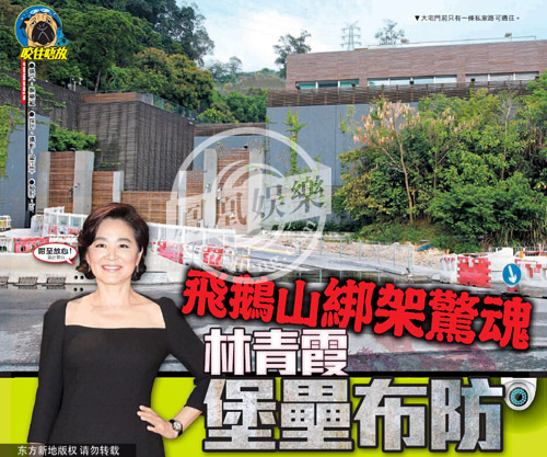 林青霞11億豪宅 林青霞11億豪宅