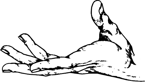 　時(shí)間：拿到通知書，未報(bào)到就可申請(qǐng)