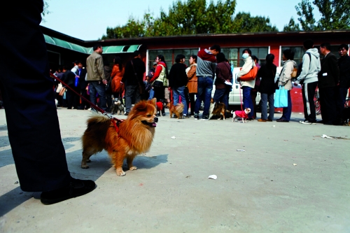 辦證點(diǎn)排起長隊(duì) 辦證點(diǎn)排起長隊(duì)